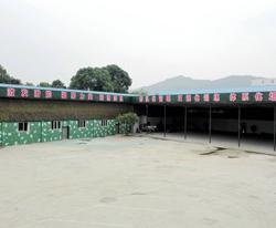 场地