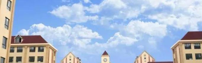 遂宁卓同国际学校小学部2020年招生简章