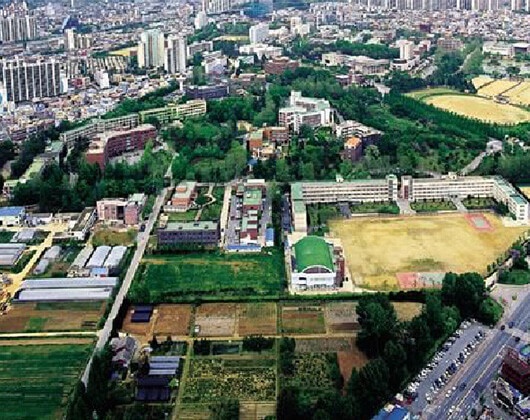 全南国立大学