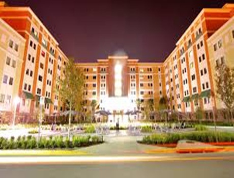 佛罗里达国家大学
