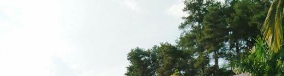 河池巴马民族师范学校2020年报名条件、招生要求、招生对象