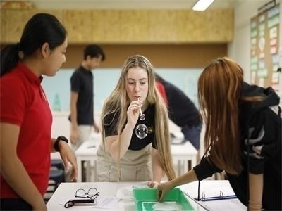 北京启明星双语学校