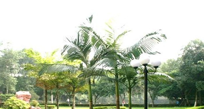 四川化工职业技术学院五年制大专招生办