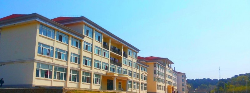 辽宁职业学院五年制大专