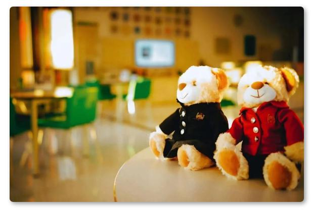 大连枫叶学校2022-2023学年高中春季招生简章