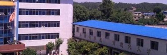 乐山欣欣艺术职业学校