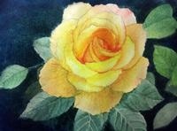 手绘培训作品展示