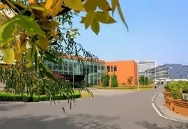青岛电影学院韩国国际本科2022年招生简章