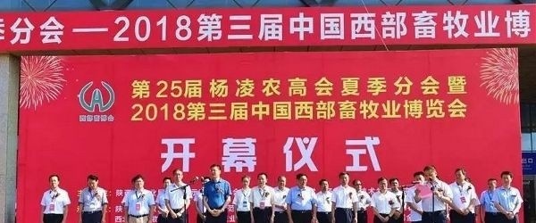 甘肃畜牧工程职业技术学院2019年单招录取分数线