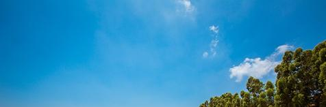 晋州职业技术中学