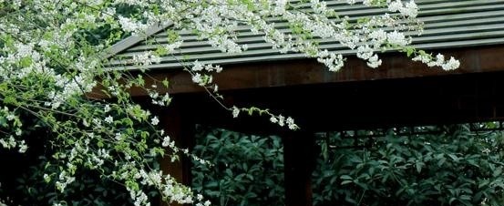 2345截图20181122091729