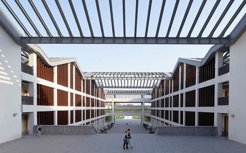 北京外国语大学附属杭州橄榄树学校