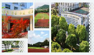 杭州民办东方中学校园风光