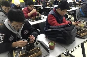 上海外国语大学Alevel课程中心新生周活动回顾