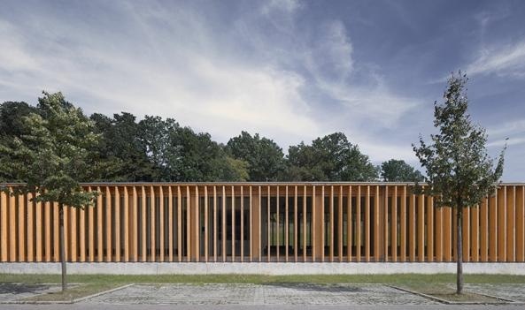 特里尔应用技术大学