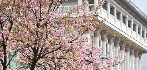 西安音乐学院附属中等音乐学校2023年怎么样、好不好