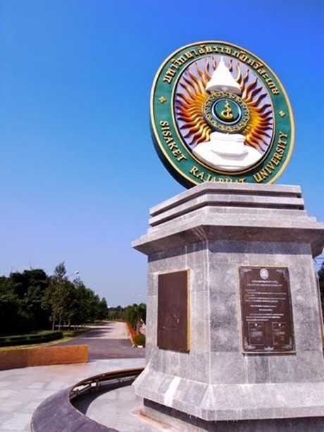 四色菊皇家大学