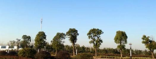 安徽广播影视职业技术学院2020年招生办