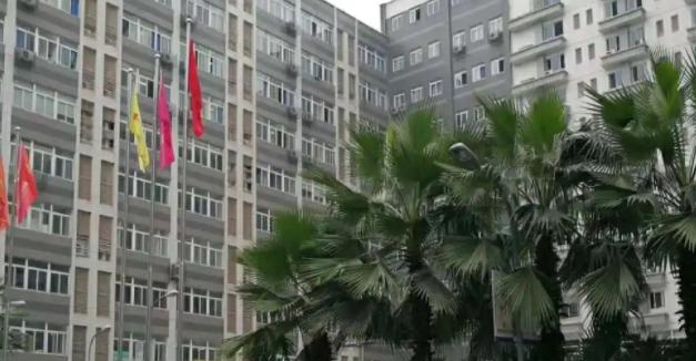 重庆艺才技工学校2023年招生录取分数线
