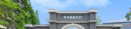 树德中学国际部