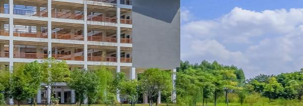 南宁职业技术学院2020年有哪些专业