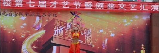湖北崇阳职教中心