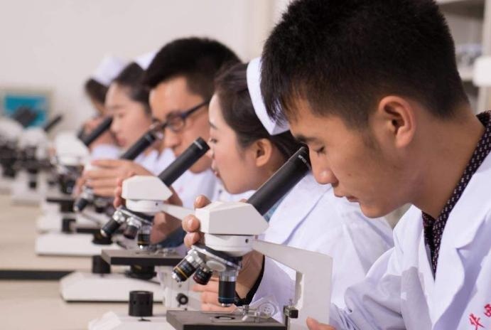 焦作护理学校
