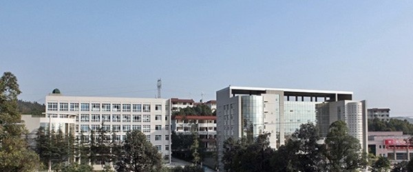 四川幼儿师范高等专科学校单招