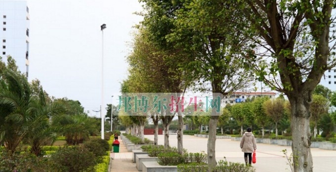 北海市卫生学校