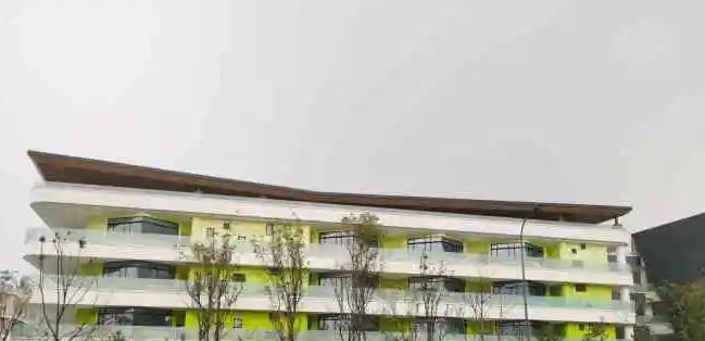 成都蒙彼利埃小学怎么样2