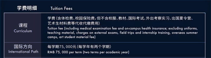 曼彻斯通松山湖书院