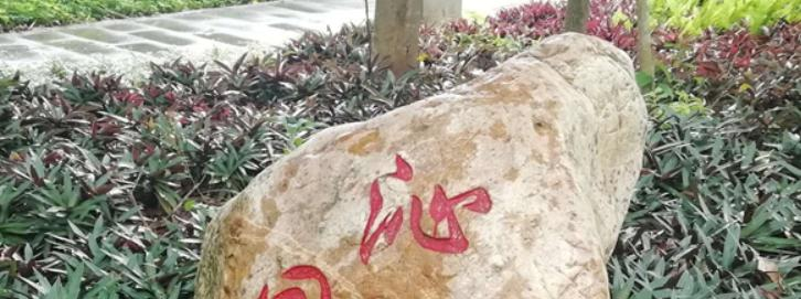 海南省农垦实验中学