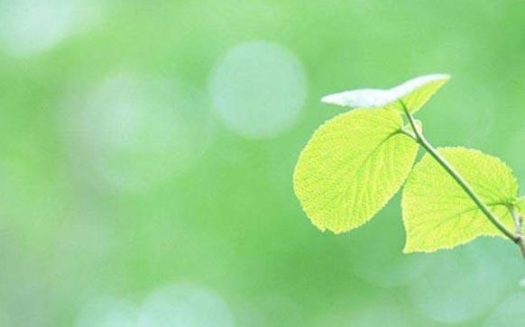 雅思口语Part1高频话题