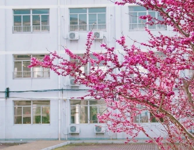 江苏省陶都中等专业学校
