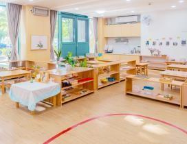 深圳爱多纷国际日托