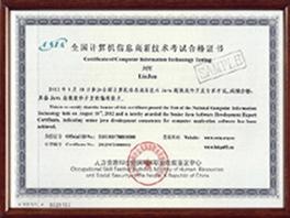 Java高级软件开发专家证书