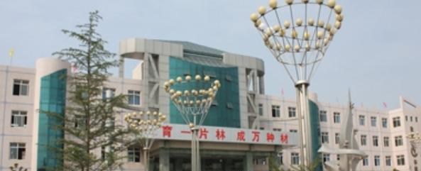 眉县槐芽中学怎么样、好不好