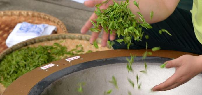 贵州省茶技术茶文化学校2023年招生办