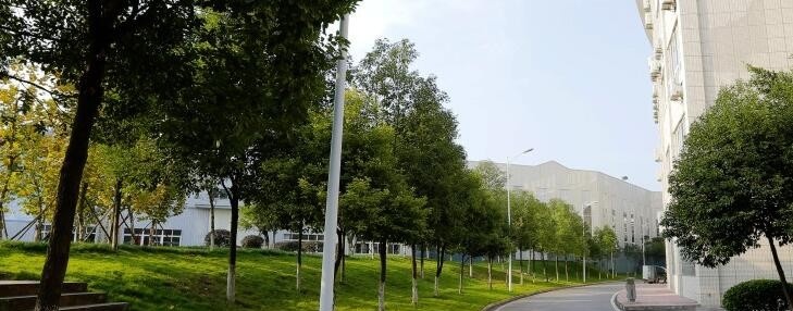 广安职业技术学院道路