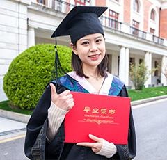教师团队