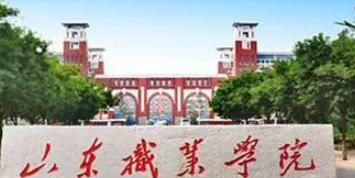 山东职业学院是大专还是中专(山东职业学院)
