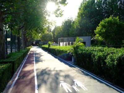 树人·瑞贝学校照片28