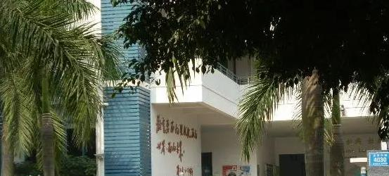 城市绿洲学校2023年入学条件