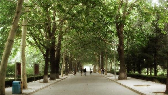 北京语言大学网络教育学院