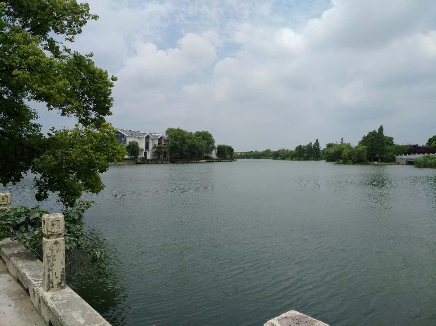 大淀湖畔.jpg