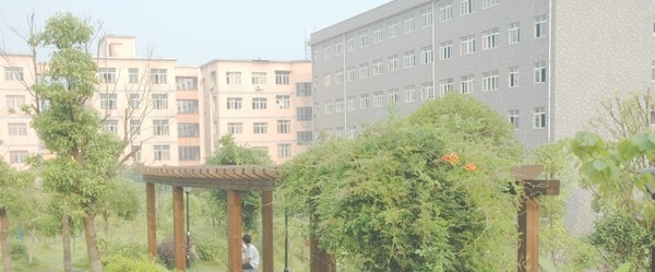湖南电子科技职业学院单招