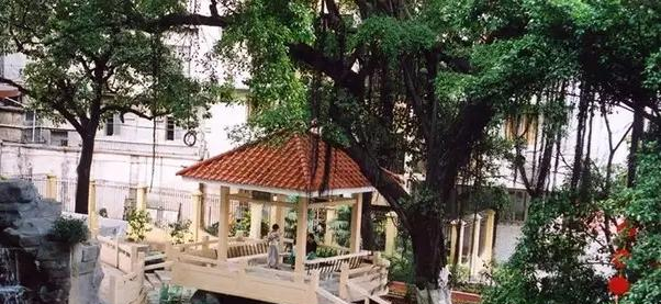 广州南武中学CCAE实验班2023年招生政策