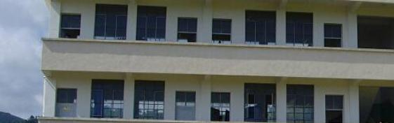 阜阳科技职业学院网站