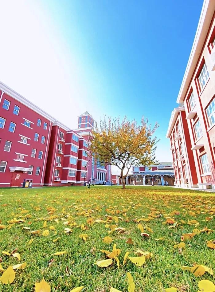 北京爱迪国际学校