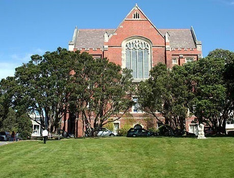 梅西大学